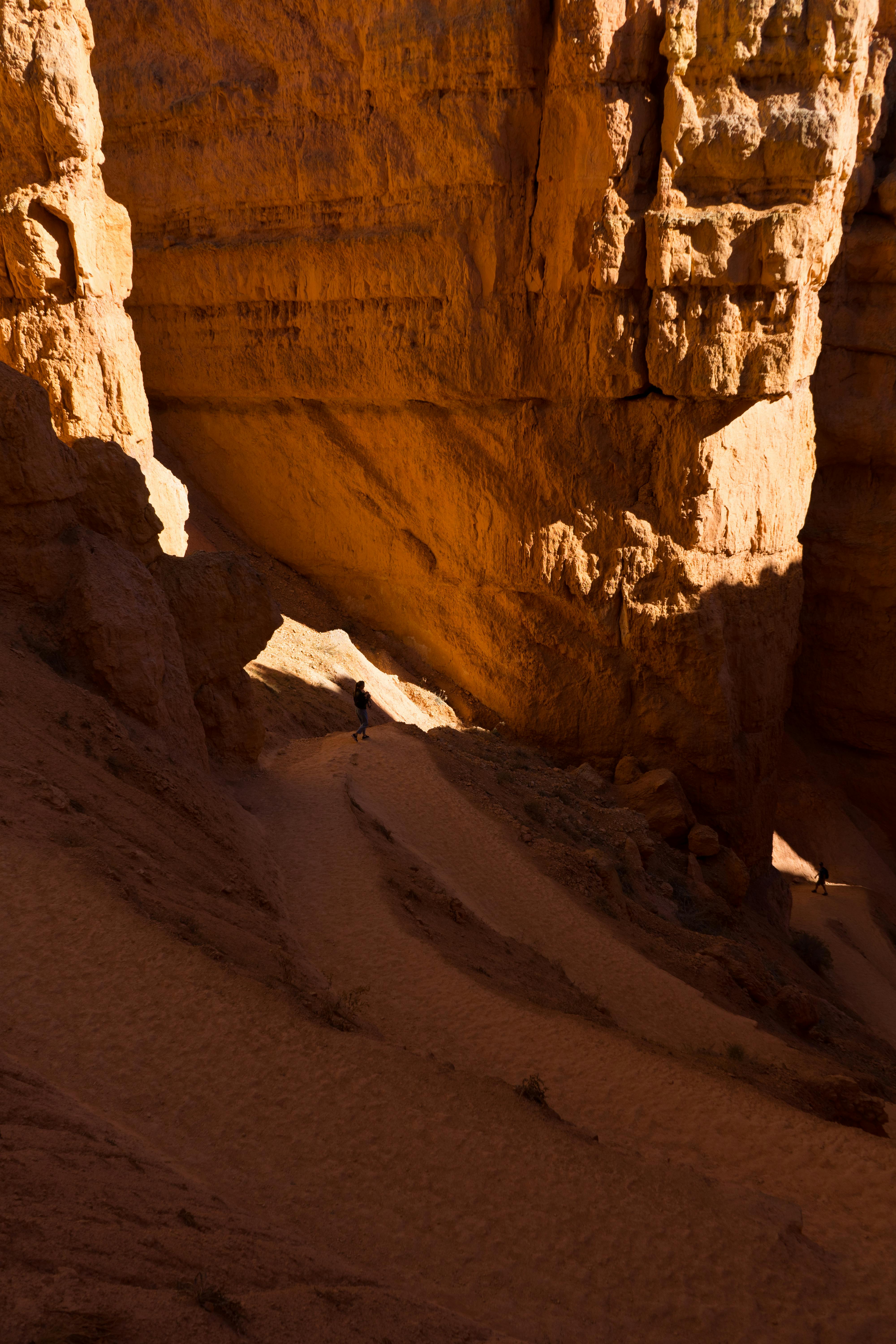 Red desert canyon trail with clear sky